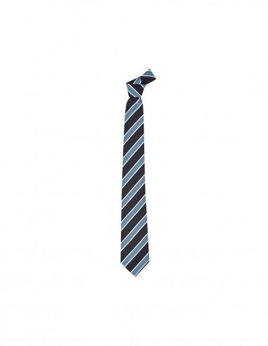 BCO-99103 - Mens Wide Contrast Stripe Tie - Biz Corporates - Corporates