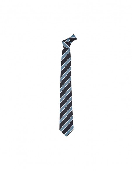 BCO-99103 - Mens Wide Contrast Stripe Tie - Biz Corporates - Corporates