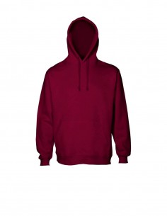 AC-HSI - Origin Hoodie - Mens - Aurora - Teamwear 2